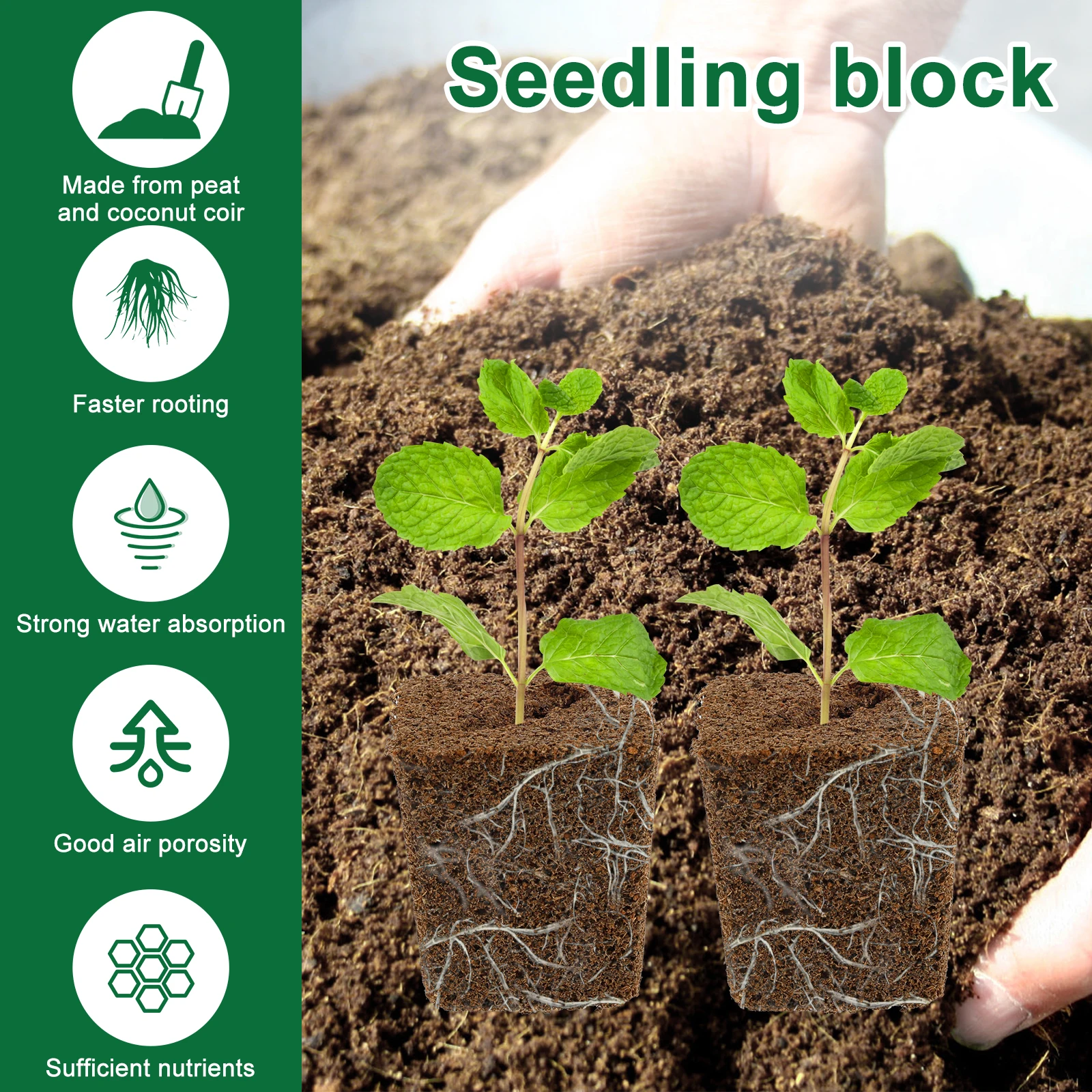 50 قطعة تنمو الإسفنج المائية كاتب المقابس البستنة البذور كاتب الإسفنج شق مائل البذر وقطع كتلة الركيزة #5