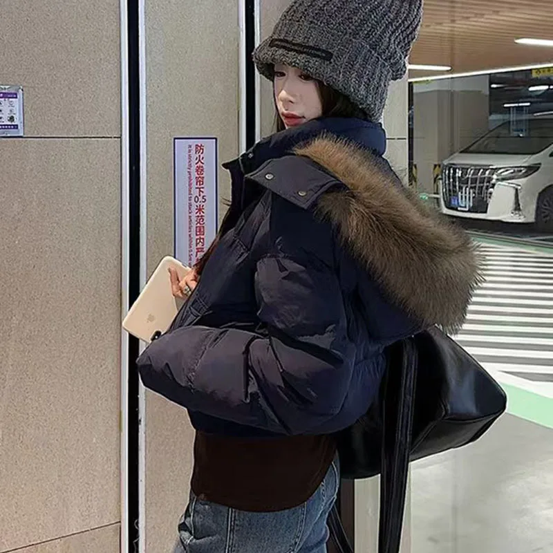 Рисунок 2 - Корейские парки с меховым воротником и капюшоном