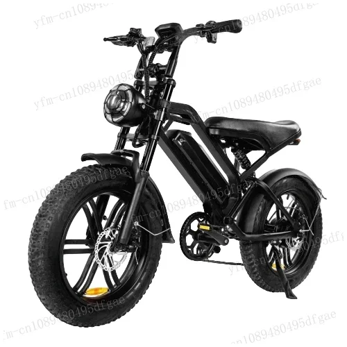 1000W 48V 20AH Back Seat Fat Tire Electric Bike Beach Cruiser Off-Road Electric Bike Adult Mountain Electric Bike