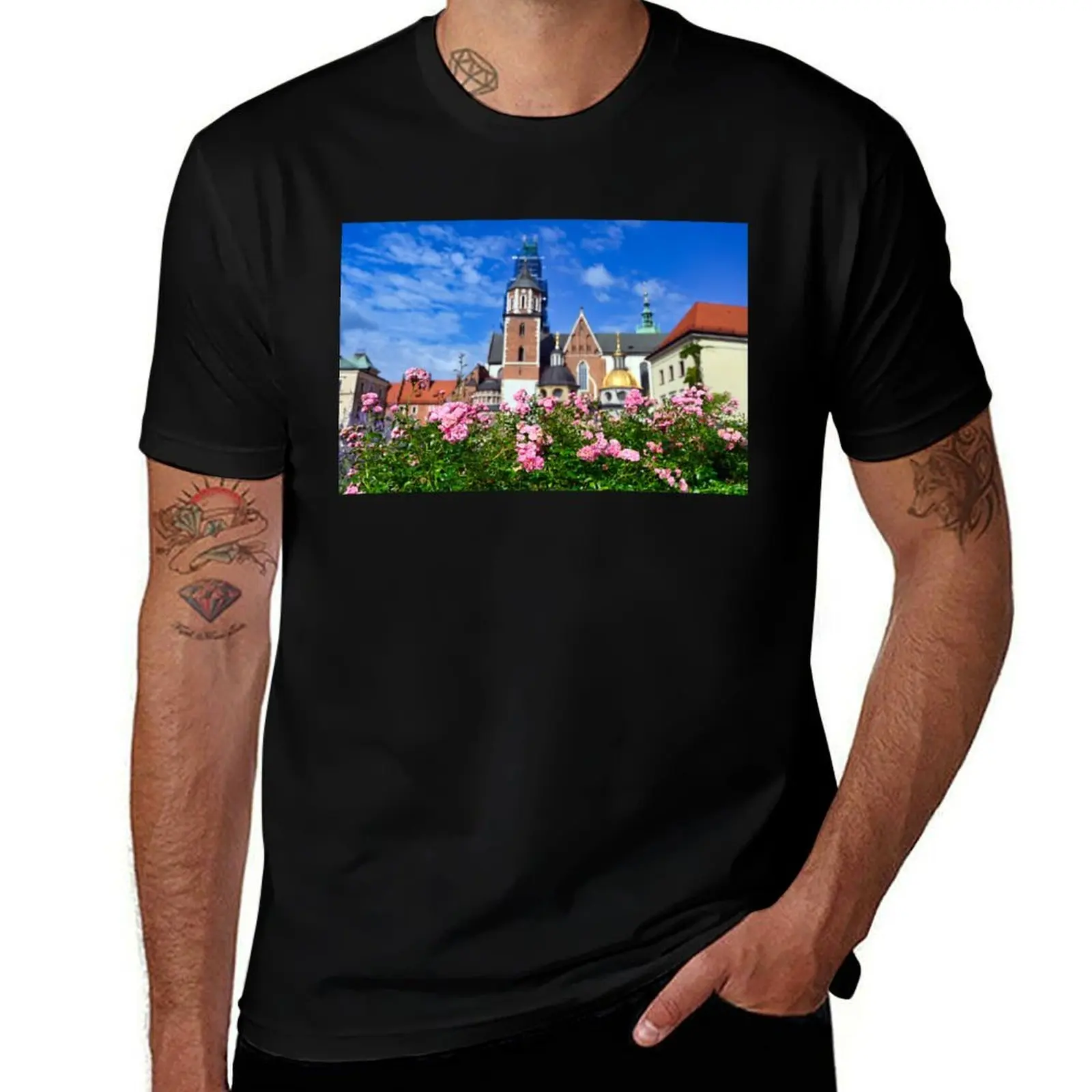 

Royal Cathedral Wawel Castle in Krakow, Poland T-Shirt shirts graphic tee shirts graphic plus size tops men clothings