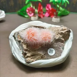Natural Indian acicular zeolite sunflower raw stone mineral specimen quartz crystal home living room decoration A1
