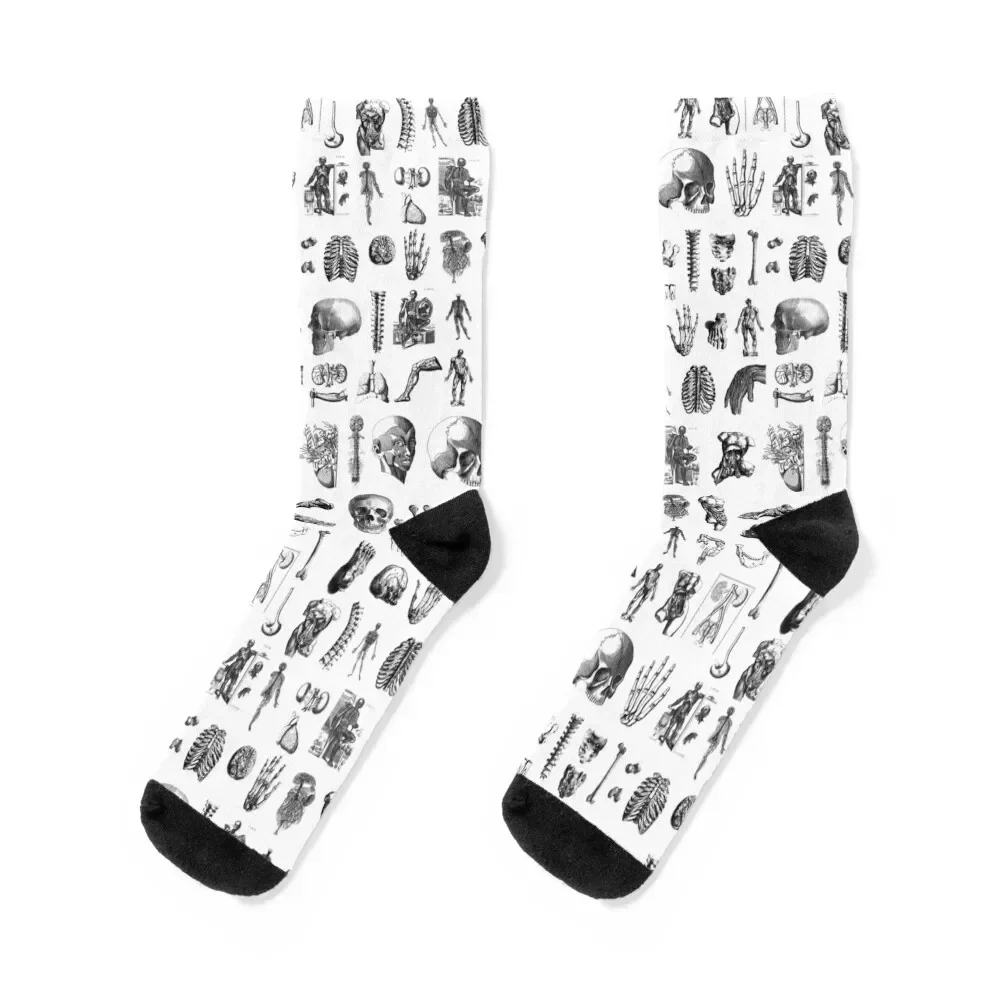 

Anatomy Socks floral Stockings man soccer anti-slip kawaii Socks Women's Men's
