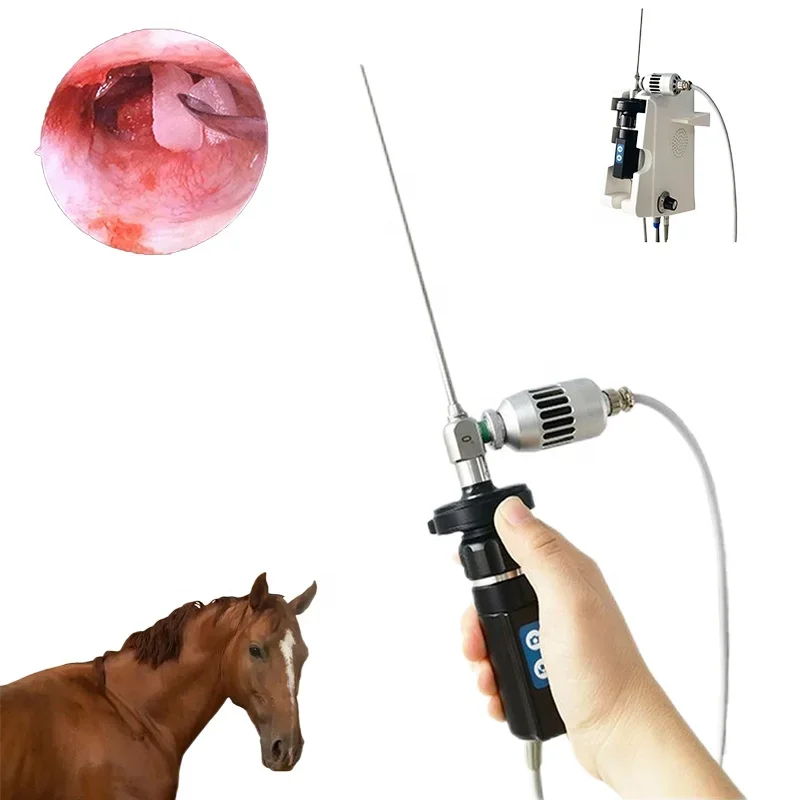 USB Wall-mounted Endoscope Video Camera Equipment Ent Otoscope Surgical Endoscopy System For Horse Cattle Pets