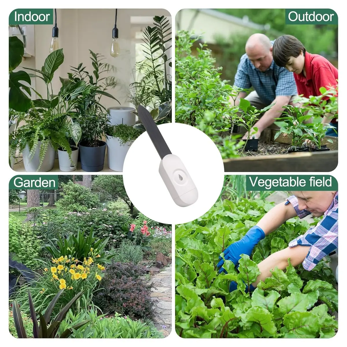 DT81 Zigbee Soil Moisture Sensor Garden Temperature Humidity Tester Automation Irrigation Detector for Home Assistant Z2M