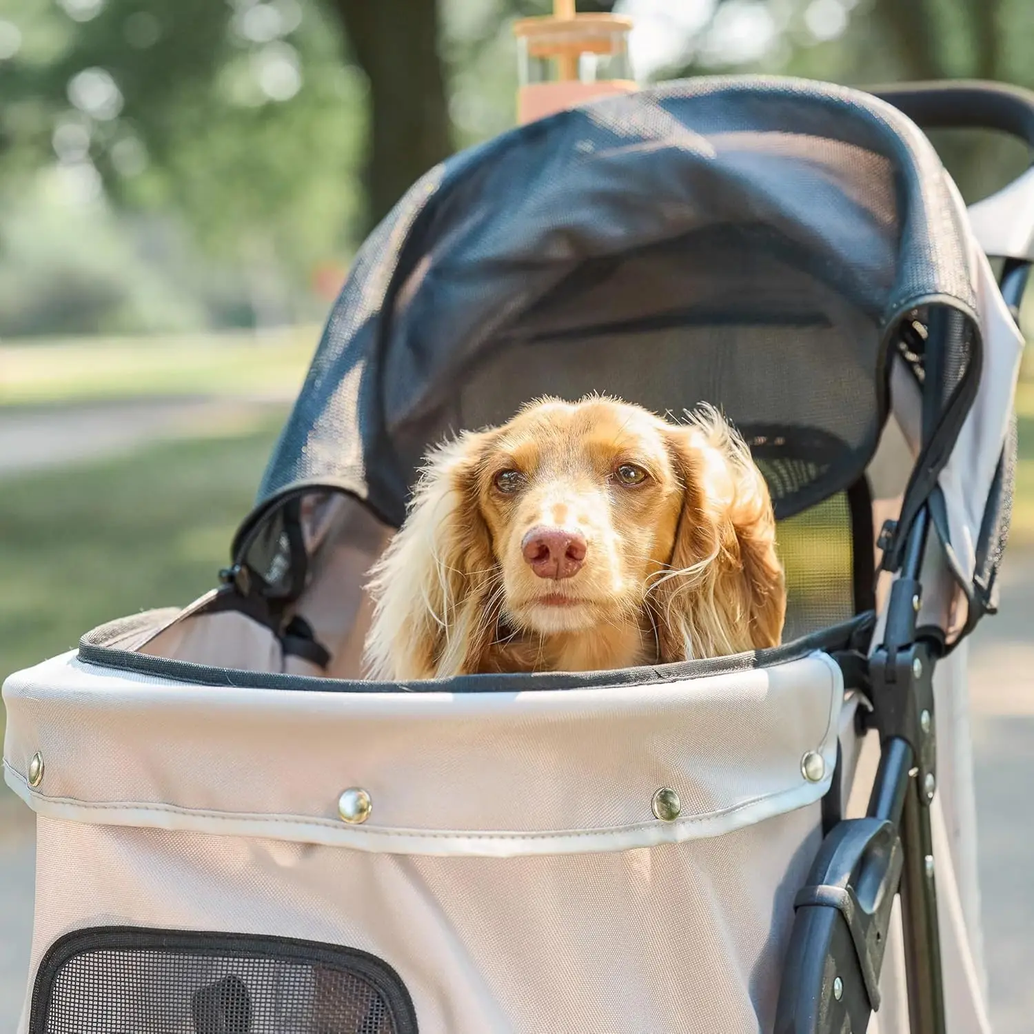 Poussette de Produits pour Animaux de Compagnie, Comprend une Comcussion de Roue Avant Résistante à 360, des Brises de Roue Arrière, une Garniture de Moulage, des Panneaux de Mailles, un Parapluie