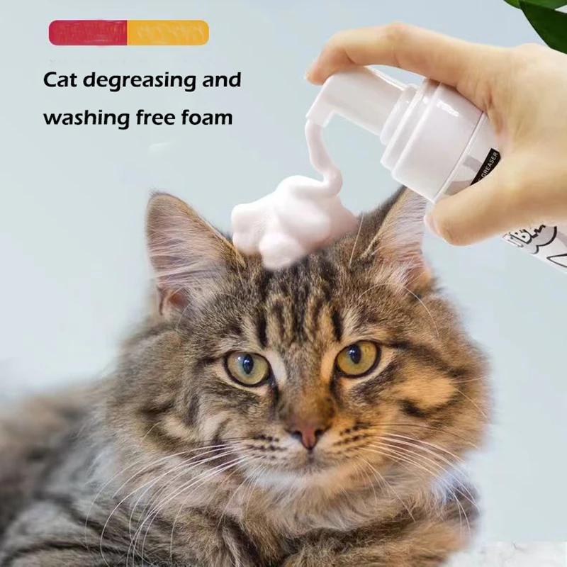 Sphinx Cat Pet Shampoo Oil Control Degreasing Bath Lotion Moisturizing Devons Finx Cat Free foam
