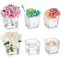 Square Glass Vases Set of 6 –5\