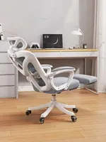 Ergonomic Lumbar Support Office Chair Sedentary Comfort Gaming Chair Work Executive Silla De Escritorio Office Furniture