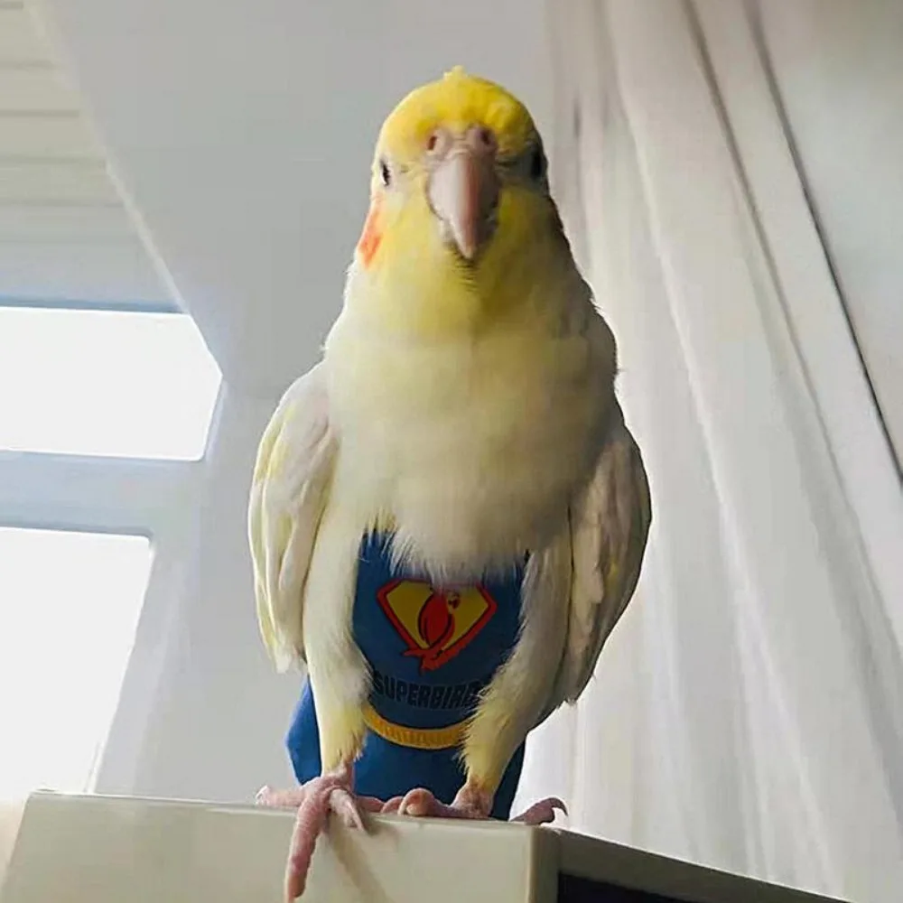 Adjustable Pet Accessories Cloth Birds Flight Suit Parrot Urine Pants Birds Clothes Parrot Diaper