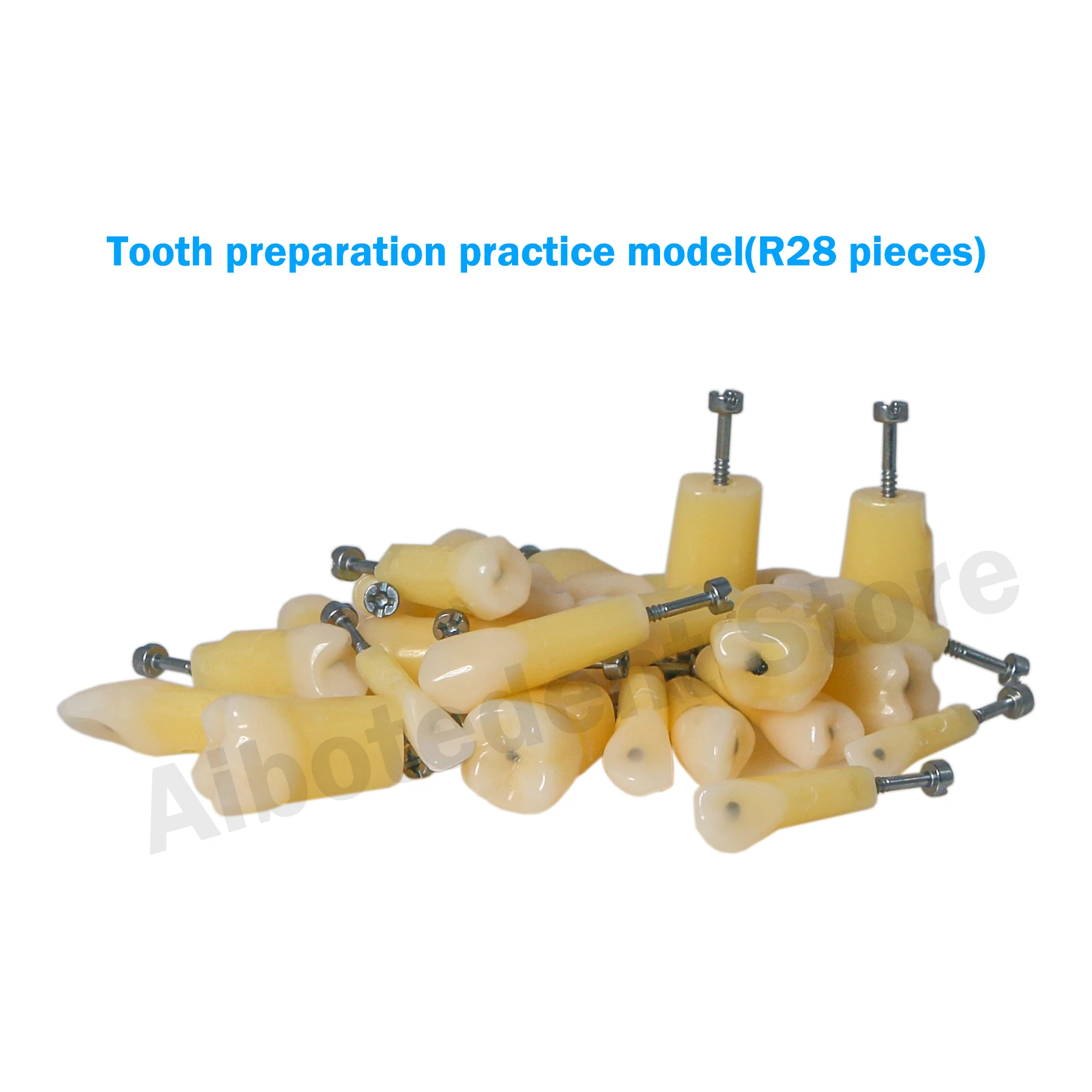 Dental Typodont Teeth Model with Caries Spots 28 Pieces Fits Kilgore Nissin 200