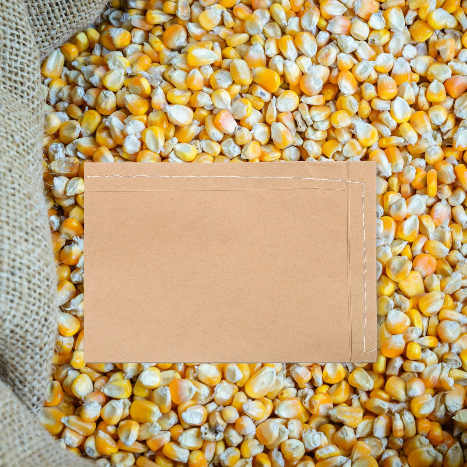 

100 шт. мини-конвертов для семян, маленькие бумажные пакеты, контейнеры для хранения, идеально подходят для садоводов и коллекционеров, эффективная система организации