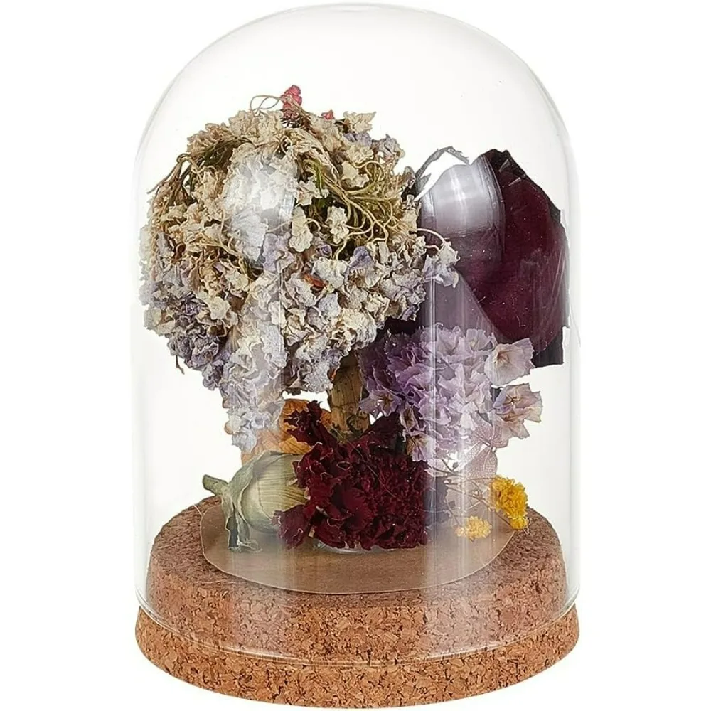 

1 Pc Glass Display Dome Cloche 3.54x4.92 Inch Cloche Bell Jar Terrarium with Cork Base Decorative Display Dome Case for Plants