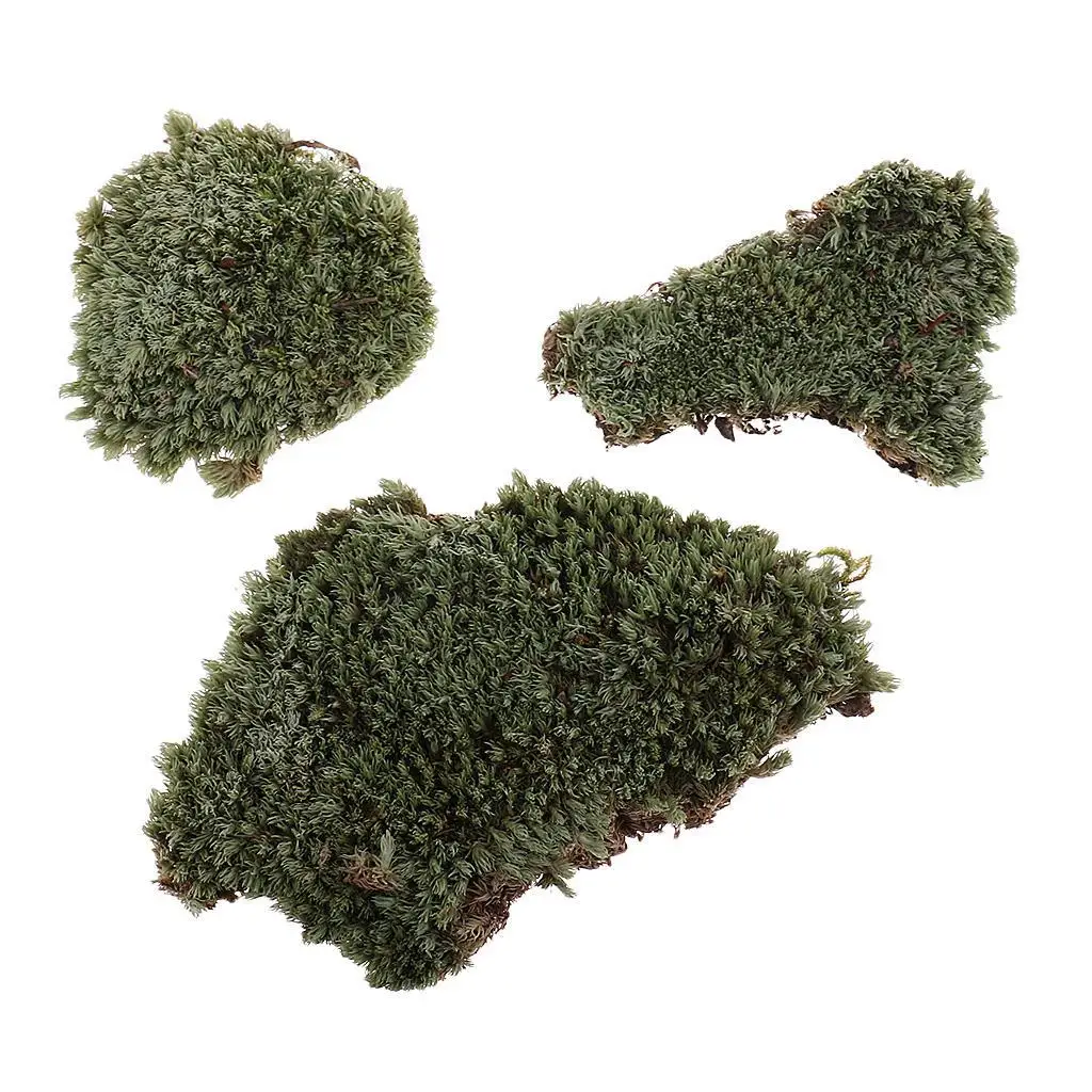 1:35 Scale Green Lichen Moss Ground Grass Lawn Model DIY for Armour