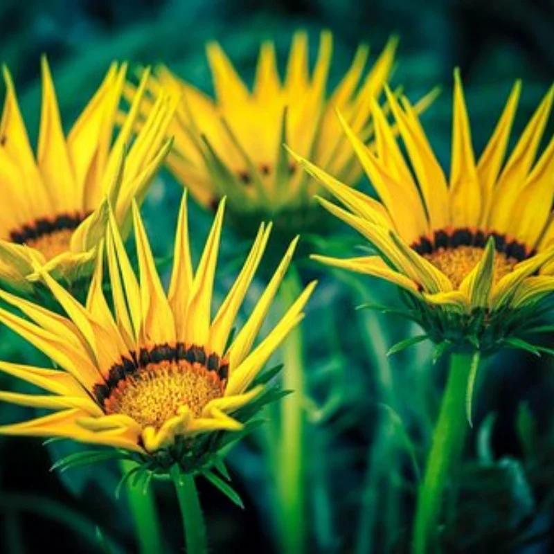 

4 шт., 120 мм, металлический обод колеса 1,9 дюйма, набор резиновых шин для 1/10 RC гусеничного автомобиля Trxs TRX4 RC4WD D90 Axial SCX10 II III MST