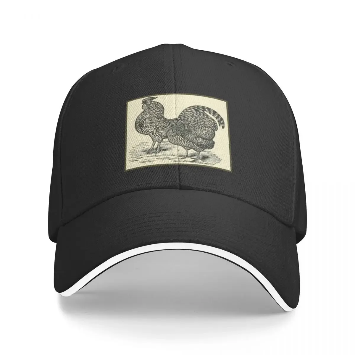 

Vintage American Dominique Chickens - 1800's Print Baseball Cap Golf Cap Kids Hat Boy Women's