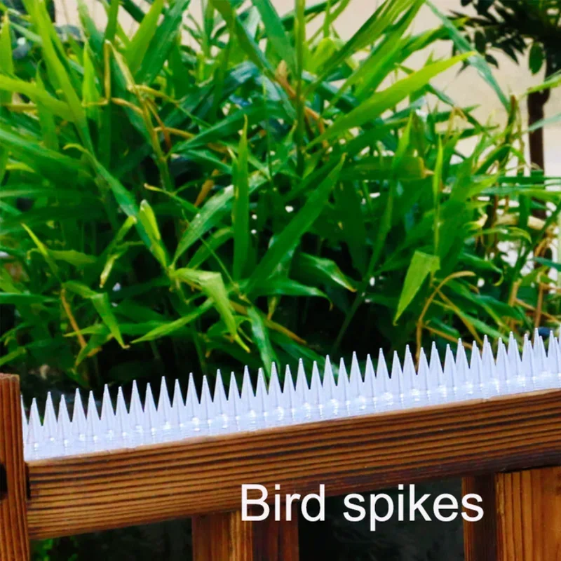 Spikes Repeller Cat Plastic Bird Repellent Anti Pigeon Anti-bird Squirrel Garden Fences Control Transparent Spikes