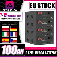 New GoKWh 48V 51.2V 100Ah LiFePO4 Battery Pack 5Kwh Grade A with Smart 100A BMS for off Grid Solar Home Energy Storage System EU