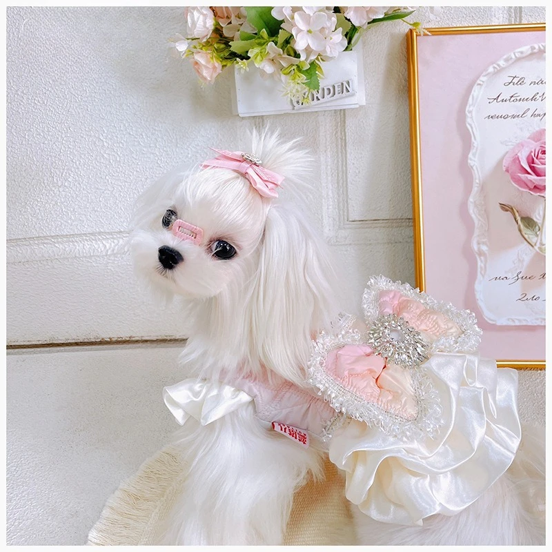 Herbst/Winter Hundekleid mit Großer Schleife und Samt-Yorkshire-Teddy-Mantel, Winterkleidung für Kleine Hunde und Welpen