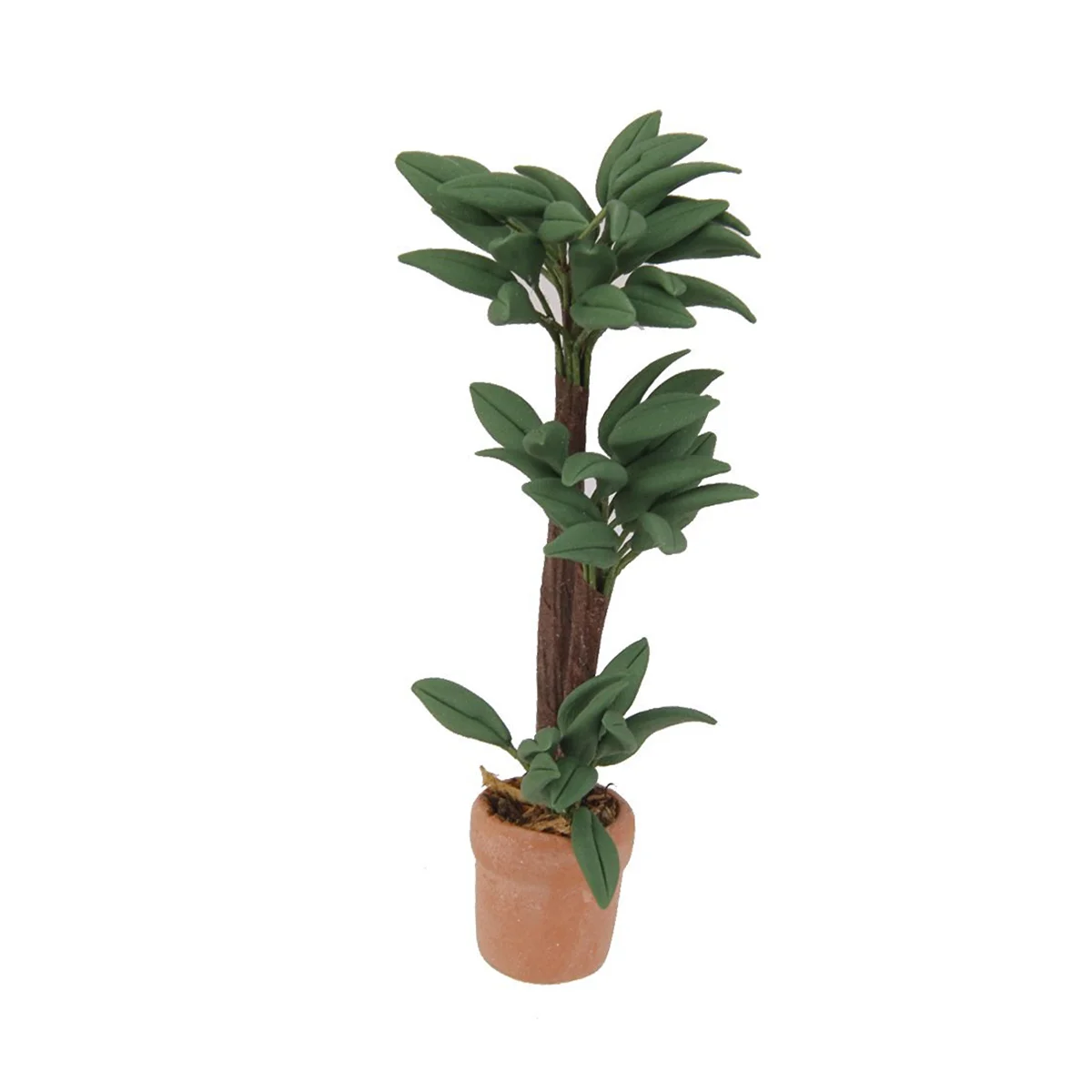 Mini bonsaï Brasiletto 1 12 plante Miniature dans Pot en céramique feuilles de fil de fer réglables décor idéal pas pour les enfants