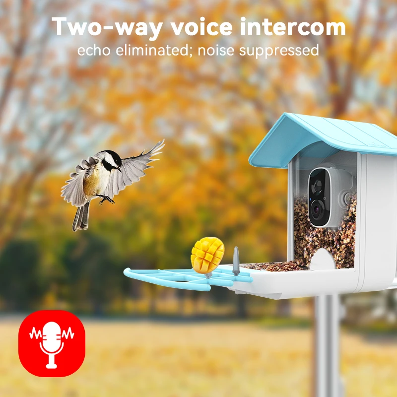 Smart Bird Feeder Camera with Solar Pannel , Bird Watching Camera Auto Capture/Record Bird Videos Wireless Outdoor Surveillance