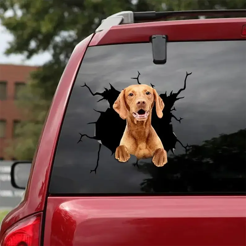 

Vizsla Decal - fits cars,Windows,Laptops and any smooth surface, VizslaStickers, Pet Stickers, Custom Vizsla Stickers, Love Vizs