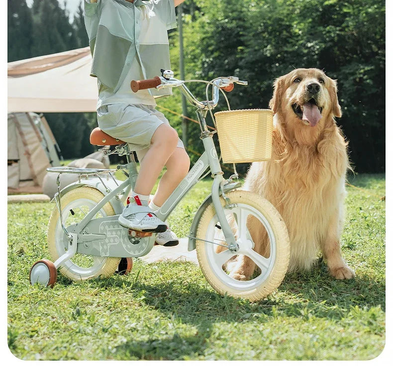 Children's Bicycle Age Women's Boy Medium to Older Children's Bicycle Children's Bicycle