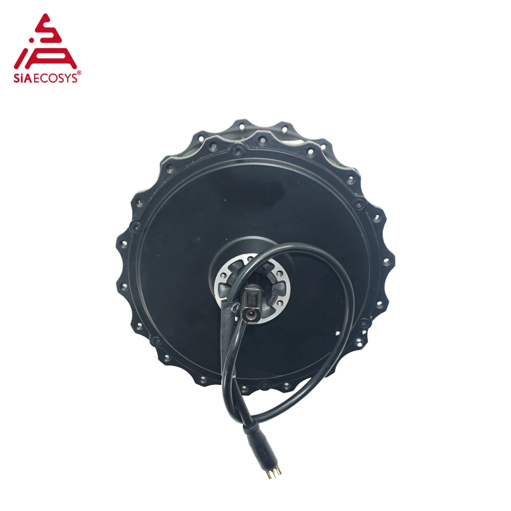 QS MOTOR 159.8 60H 1000W 48V to 72V Brushless Hub Motor with Waterproof Disc Brake Magnet Construction