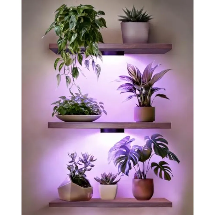 

Floating Shelves for Wall Set of 3 with 2 Rechargeable Picture Lights Plant Shelves and Wood Plant Wall Shelves 15.8 Inch Dark