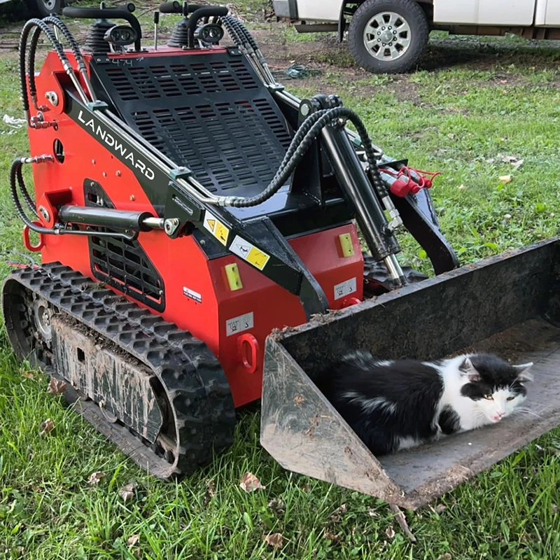 

Fast delivery Chinese factory price Mini Skid Steer Loader Attachment 300 kg Front Loader multifunction mini loader Customized