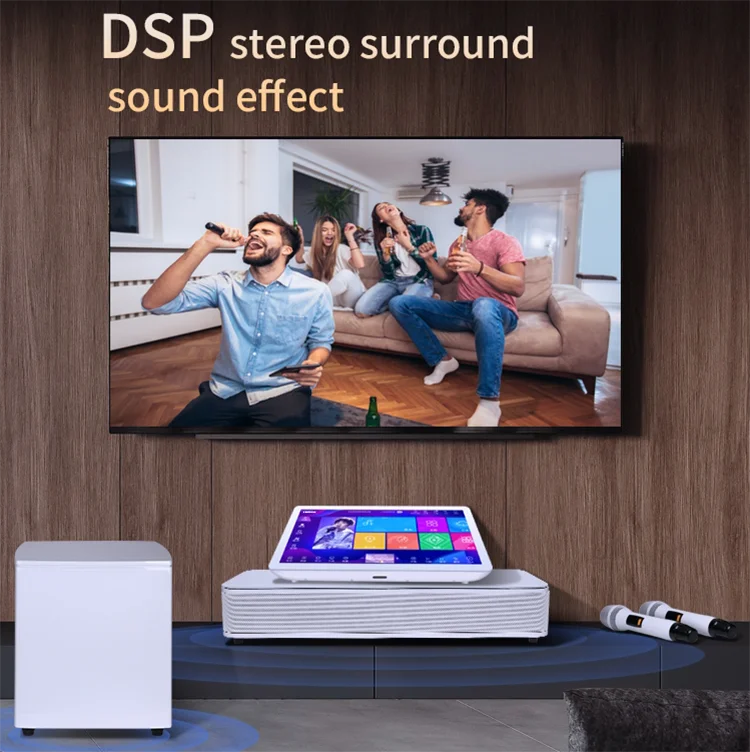 Professional Home KTV Equipment 19.5inch Subwoofer Speaker Full Set Family Karaoke Machine with Professional Features