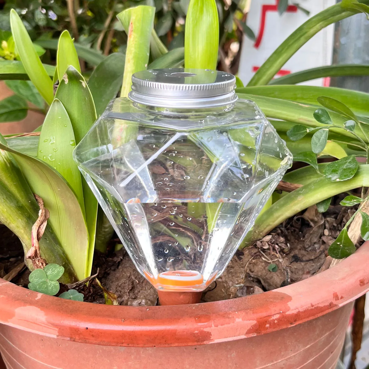 1pcs Cute Plastic Watering Machine Waterer Automatic Automatic Plant Dripper Indoor Outdoor Plants Watering Globes