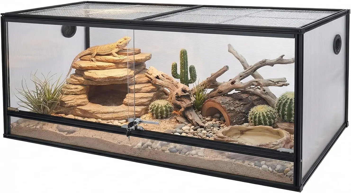 83 Gallon Bearded D…