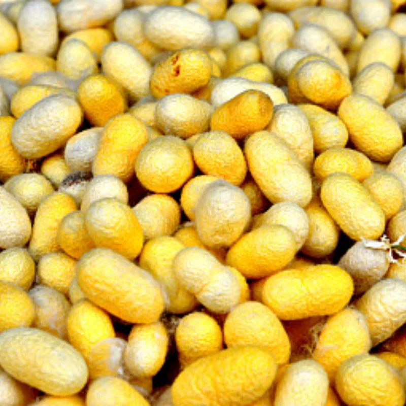 

FMS MJX 1/12 H12Y H12Y+ Металлический передний бампер для радиоуправляемого автомобиля — прочный алюминий 6061, для повышенной защиты и производительности