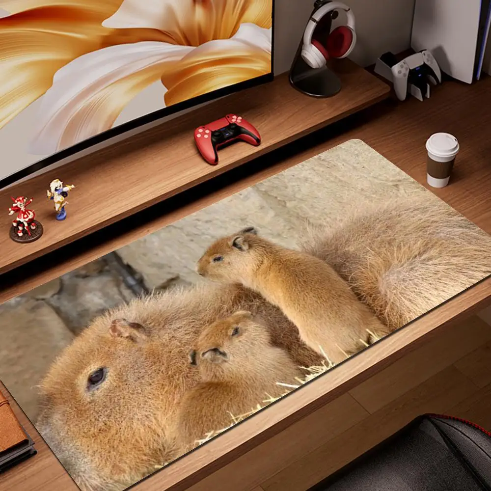 

Beaver Mouse Pad asdjasodasdasd