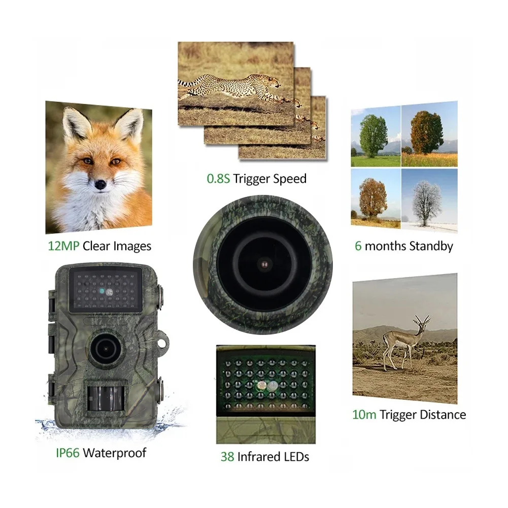 Night vision-enabled animal trail camera for animal reconnaissance sports 12MP 1080p