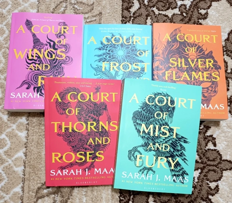 just 1 book A Court of Thorns and Roses A Novel Paperback English book