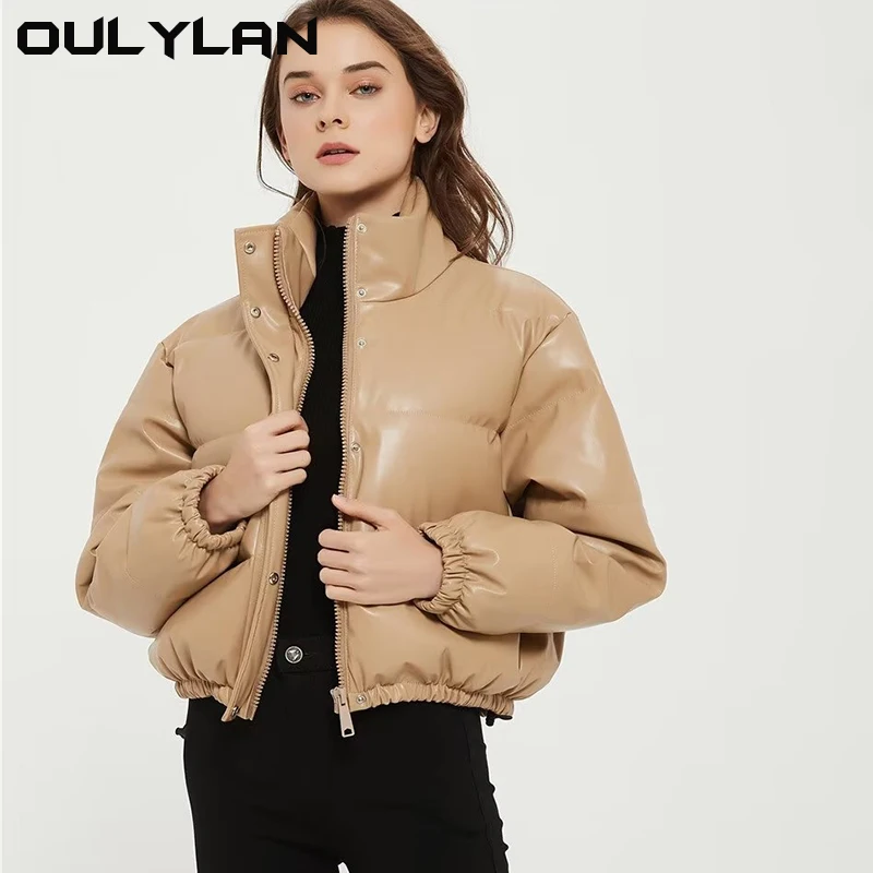 Urban leisure pure color simple imitation leather cotton dress women's new winter small stand collar 2024pu jacket fashion