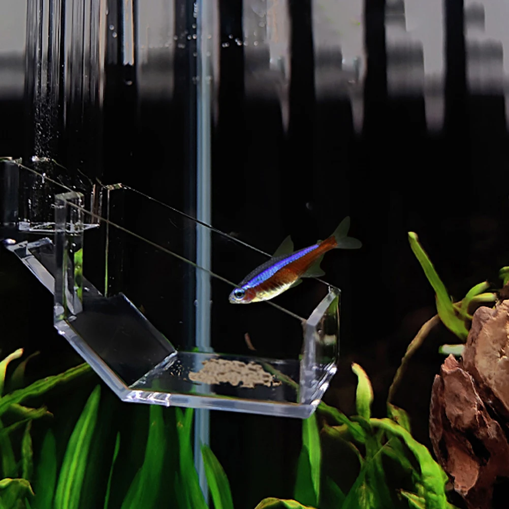 

Fish Tank 35cm Acrylic Shrimp Crab Feeding Tube Dish Aquarium Fish Feeder Hanging Tool Food Shrimp Tank Accessories Vacation