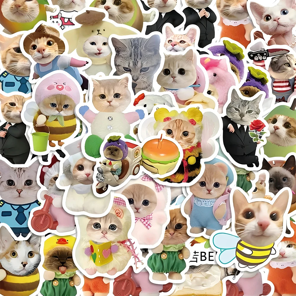 10/30/62pcs Funny Meme Cat Graffiti Stickers for Kids Toys DIY Luggage Laptop Skateboard Phone Car Waterproof Cute Sticker Decal