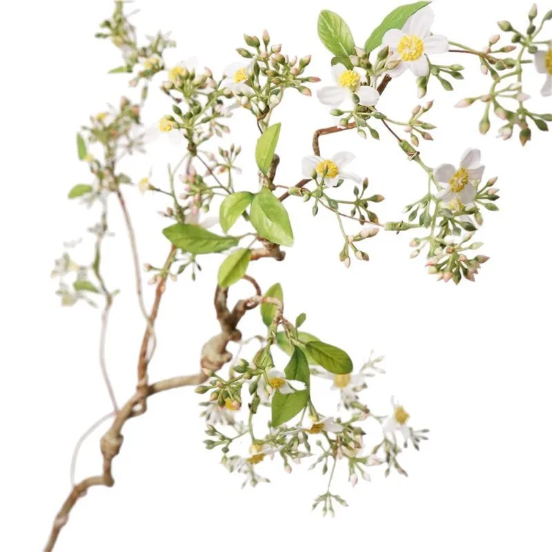 Kleine Blumendrucke, Winterjasmin, Wilde Chrysanthemen, Ranken, Waldthema für Wohnzimmer, Couchtischdekoration