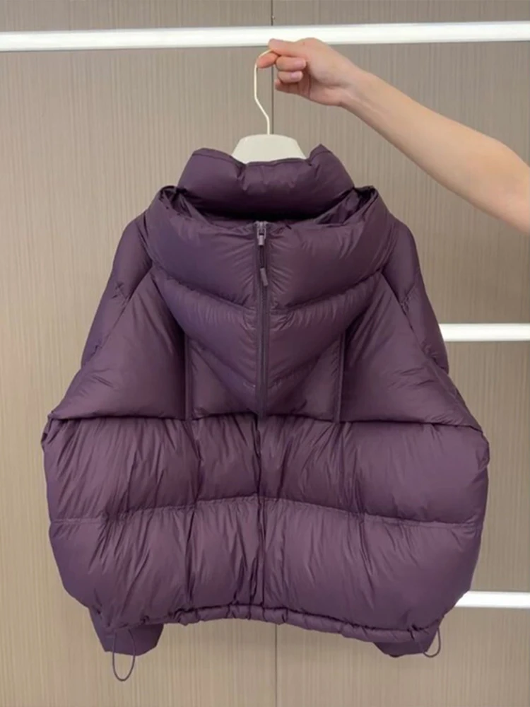 

Thiened фиолетовое хлопковое женское теплое пальто с капюшоном, зимнее новое теплое пальто, корейская версия, свободная посадка, длинная свевая молния