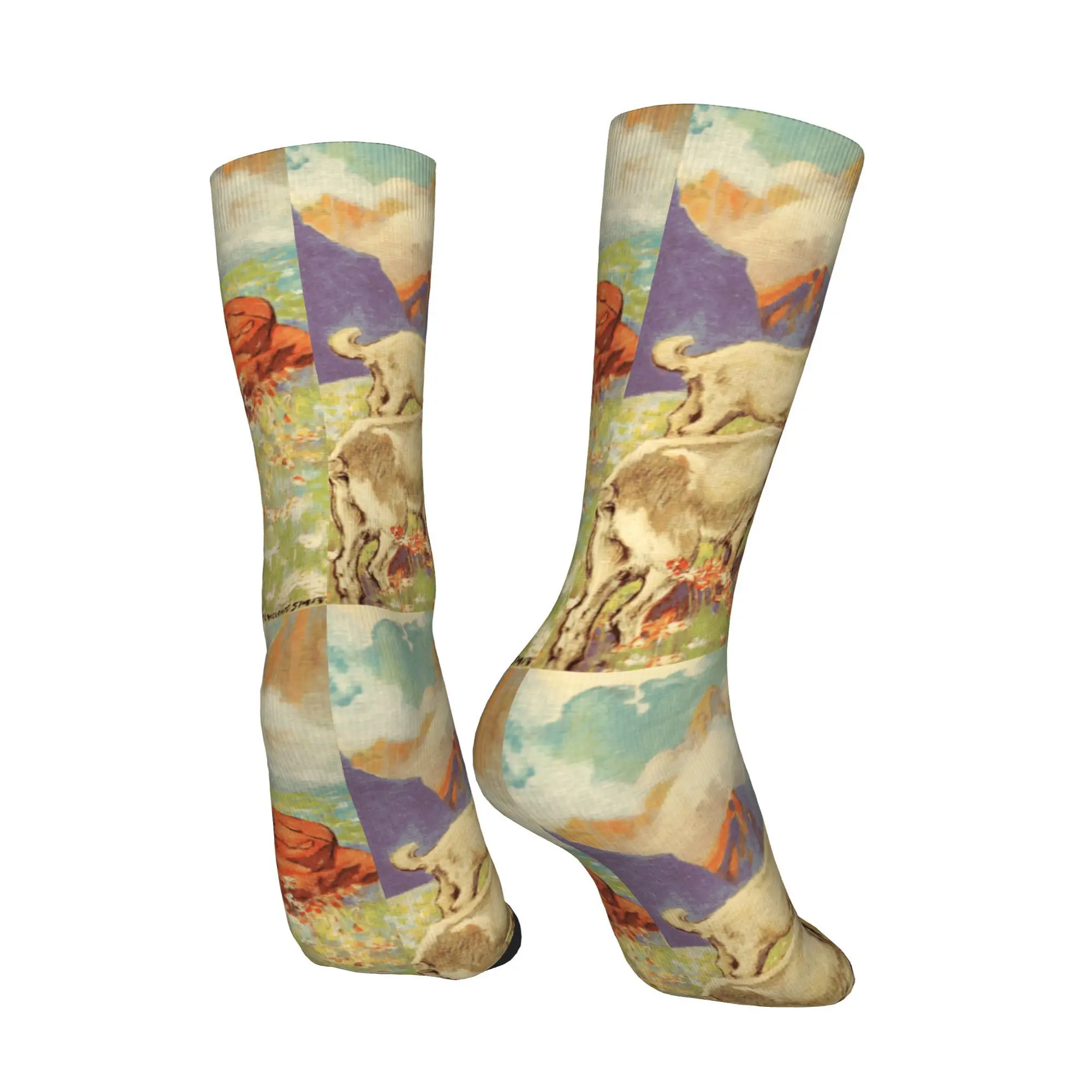 جوارب ريترو هايدي كارتونية للرجال للجنسين هدية جورب كريزي كرو