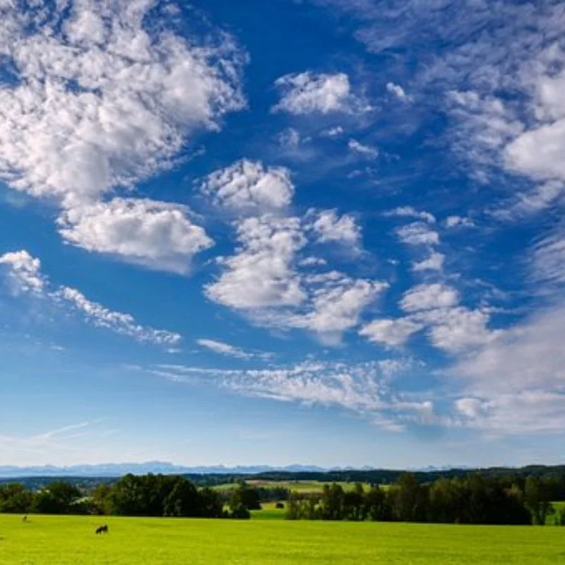 

1 комплект, комплект суппорта для моделирования дискового тормоза для раллийного автомобиля Raytheon 1/7 KM C3 E8414 E8415, аксессуары для обновления радиоуправляемого автомобиля