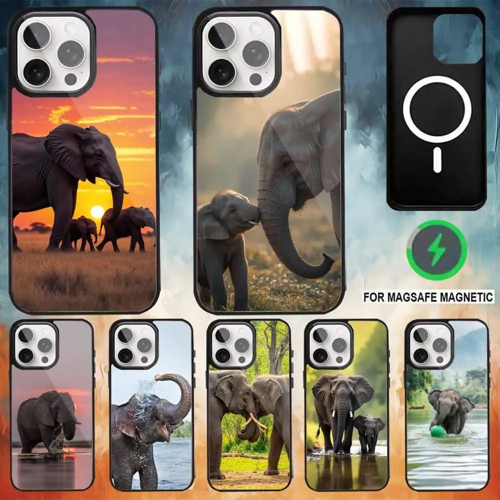 

Animal Elephant Phone Case For iPhone 17,16,15,14,13,12,Plus,Pro,Max for Magsafe Magnetic Wireless Charging