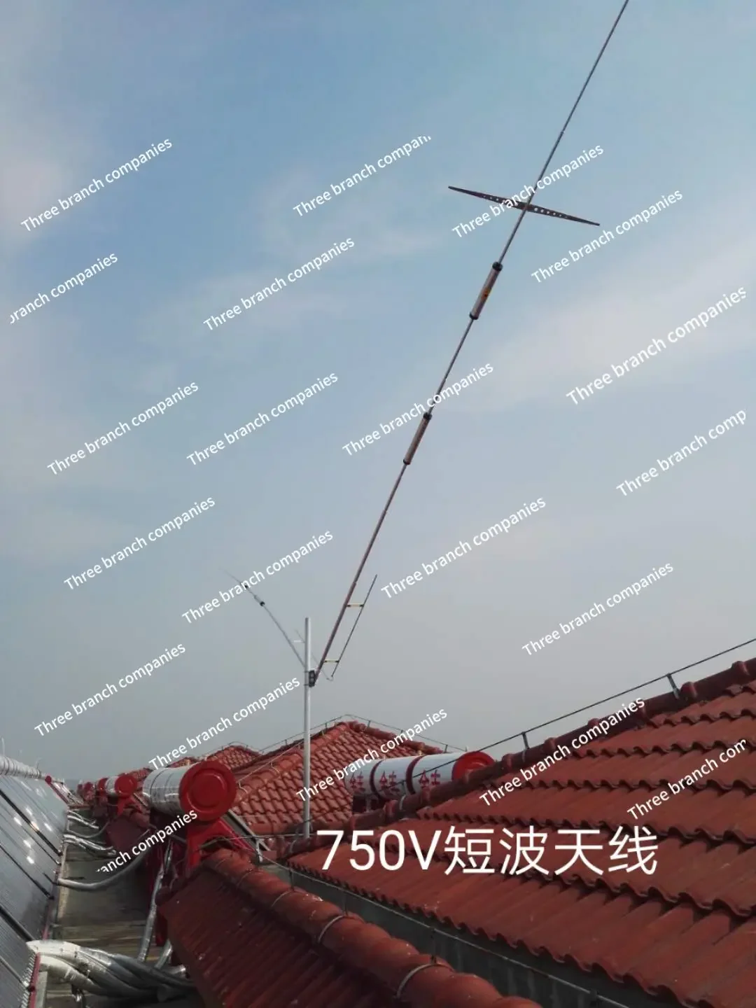 750V Positive V, High-performance 5-band Low-noise, High-efficiency Shortwave Antenna