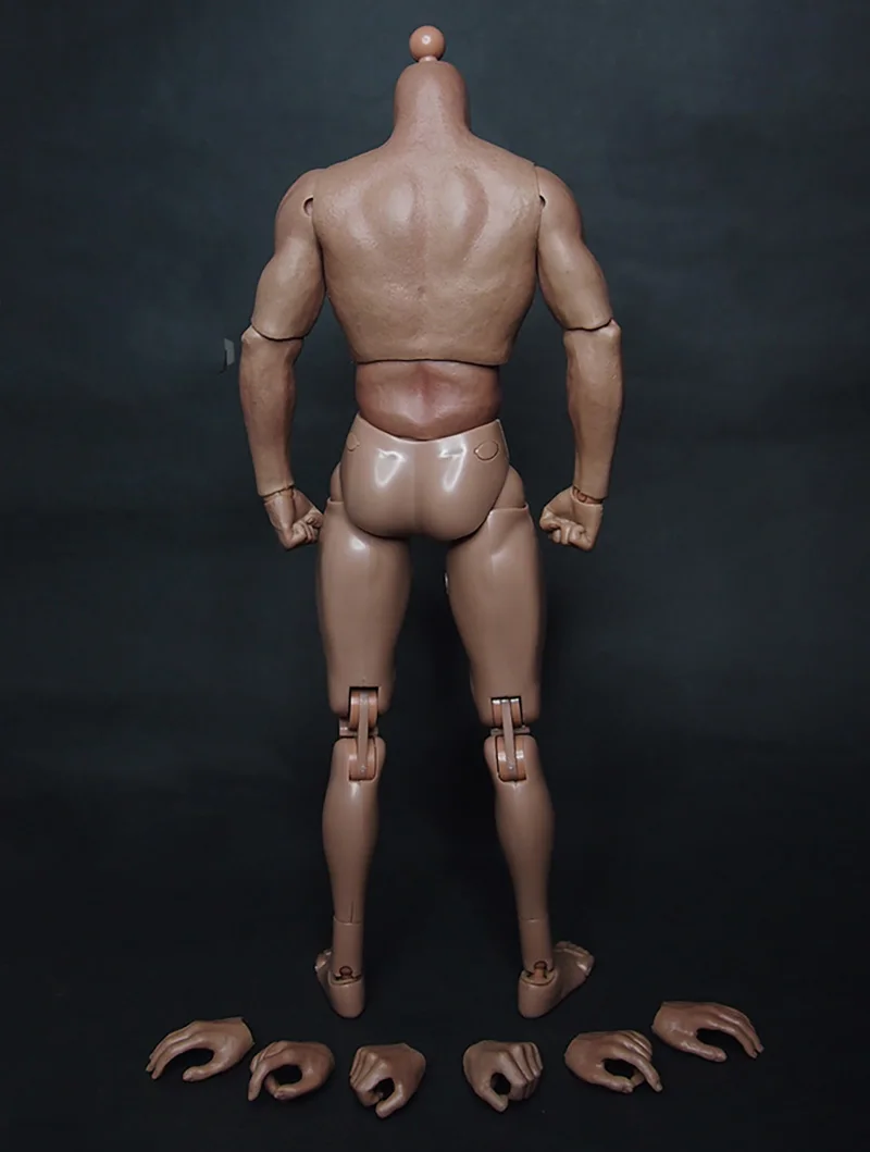 ZCtoys-Corps de bain musculaire masculin, figurines flexibles, similaires à la naissance, TTM19, figurines d'action mobiles à collectionner, 1, 6e