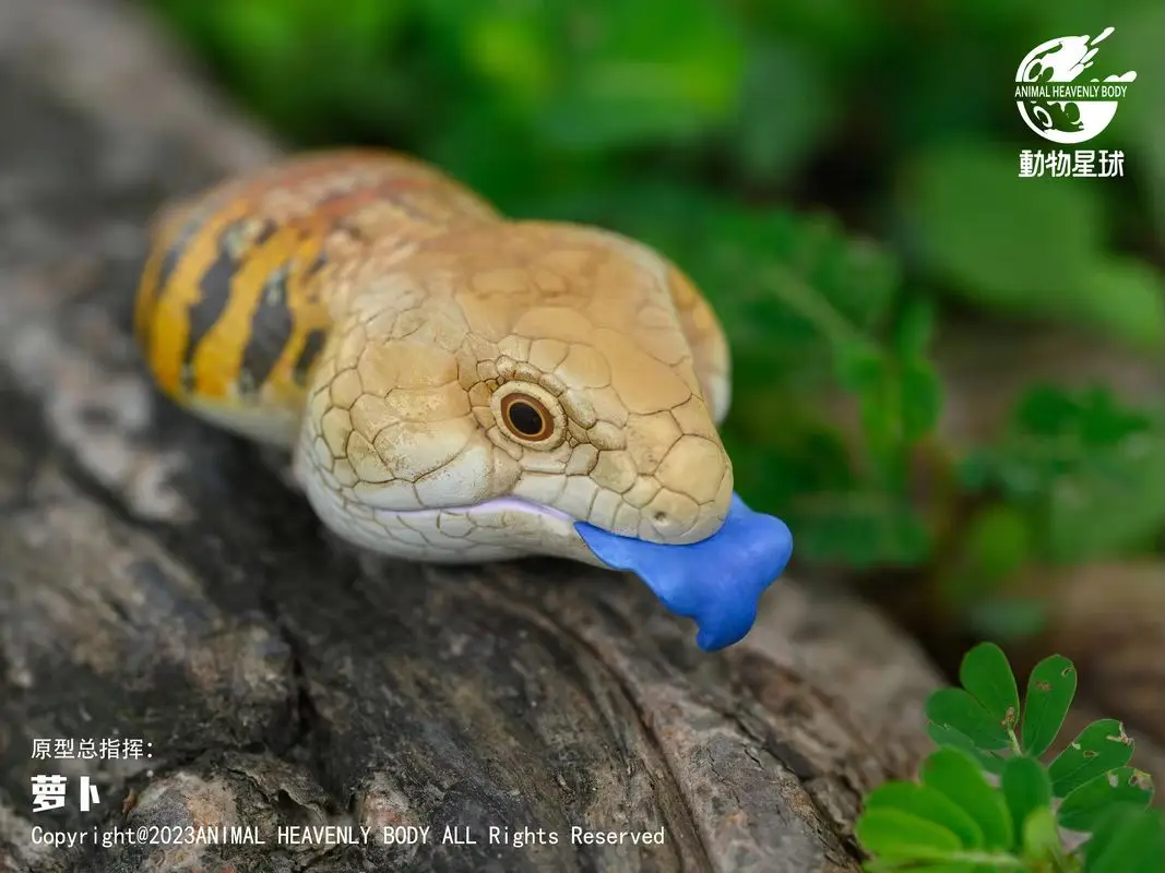 

В наличии Бестселлер! [В наличии] Серия Animal Planet «Plump & Jolly» Vol.16 — Коллекционная фигурка ящерицы (официальная лицензия)