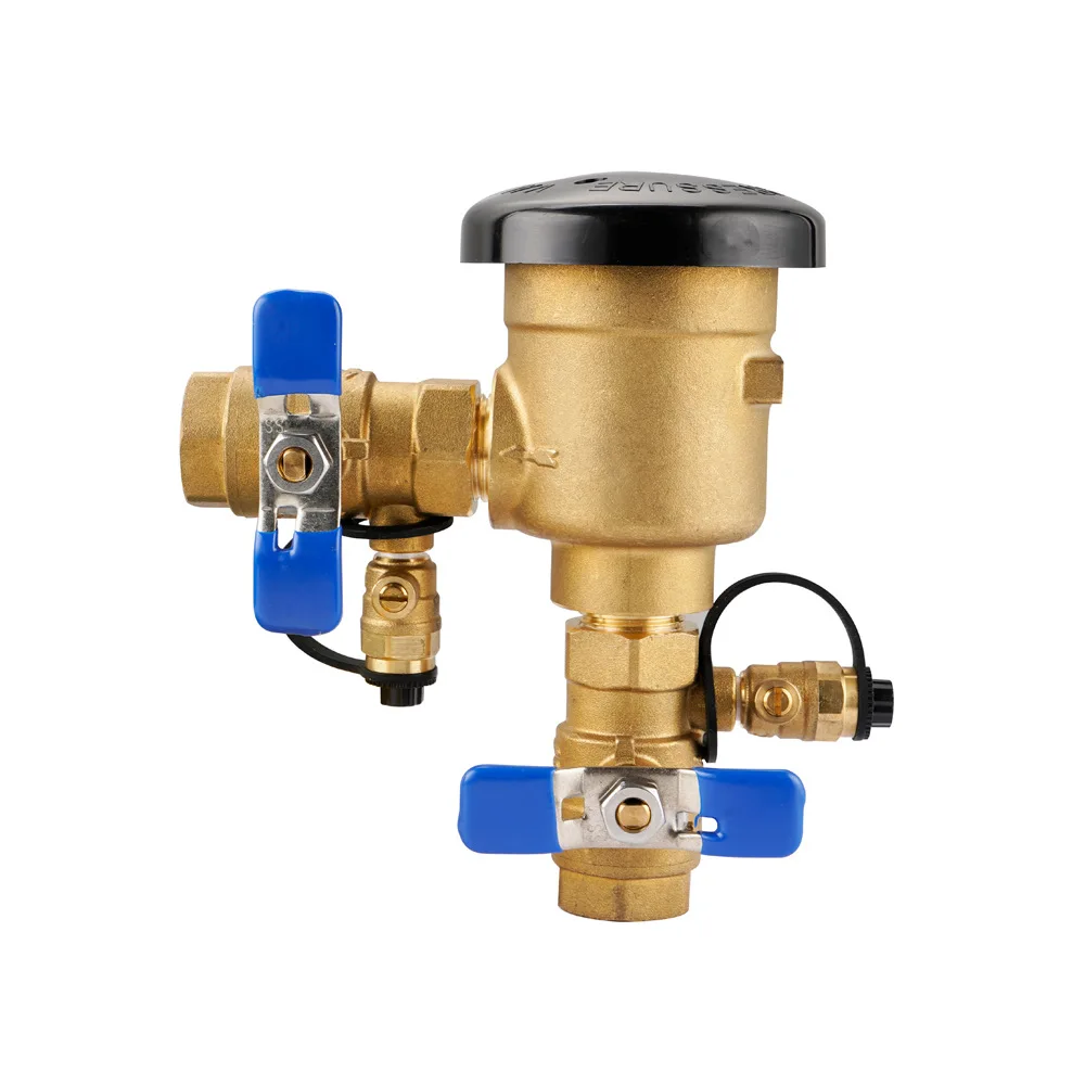 Pressure relief valve, vacuum breaker antifreeze antifouling valve assembly