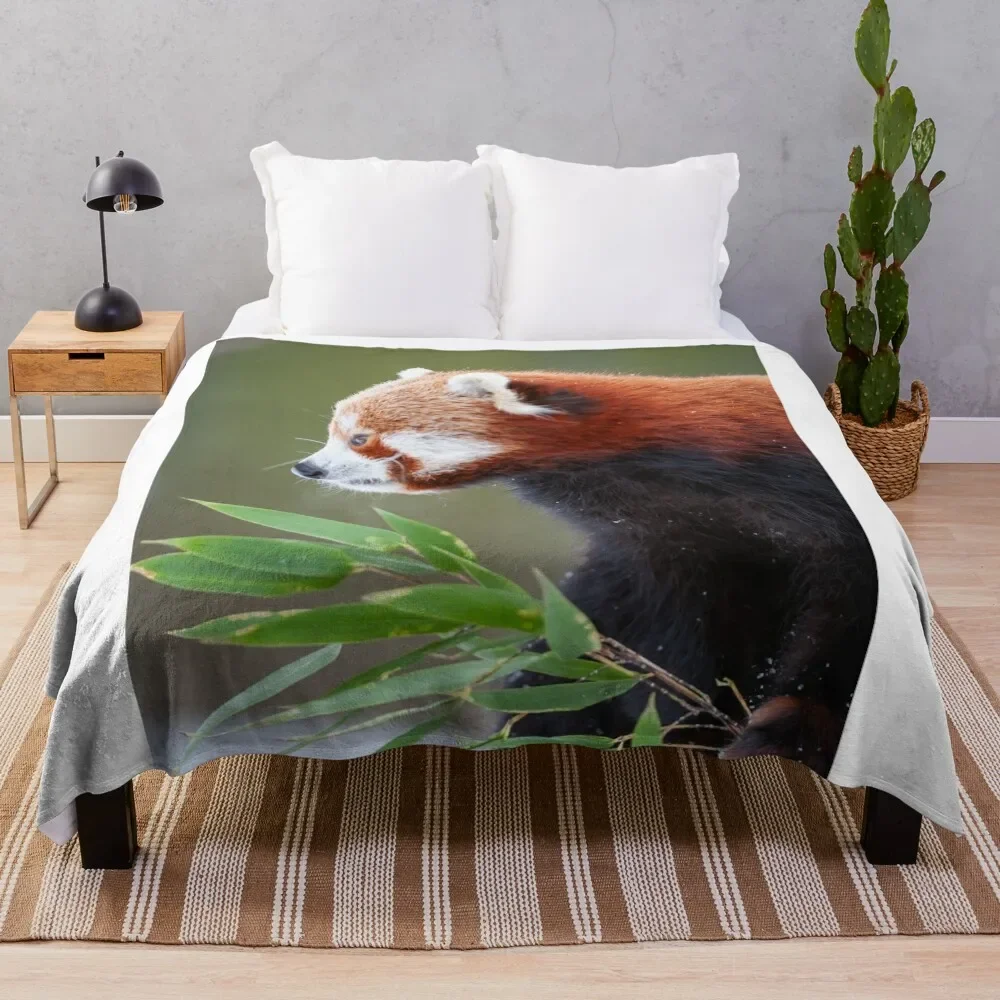 

Little panda Throw Blanket Furry heavy to sleep funny gift Blankets