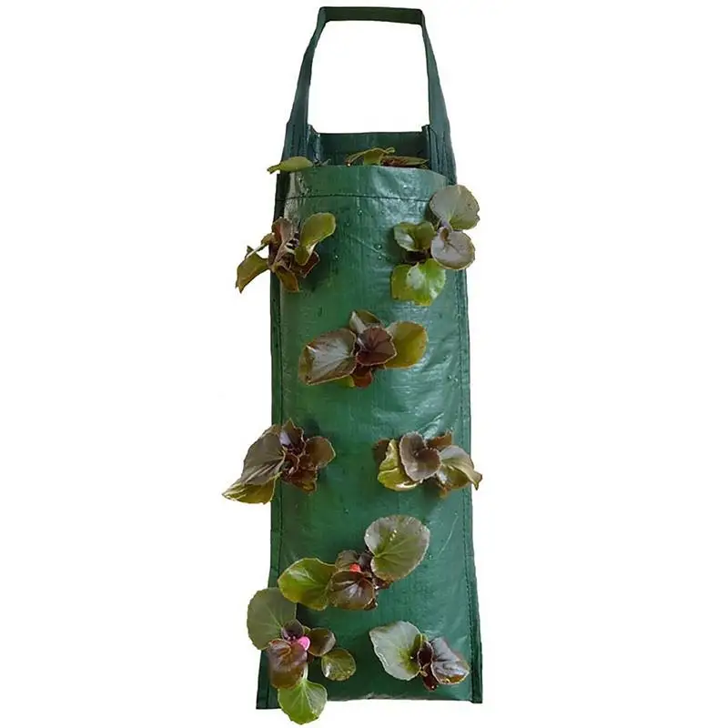 Hanging Flower Pouch Plant Grow Bags Heavy Duty Thickened Fabric Pots With Handles Plant Bags Strawberry Planting Containers